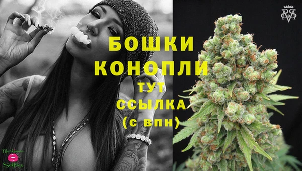 винт Бородино