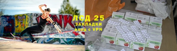 индика Богородск