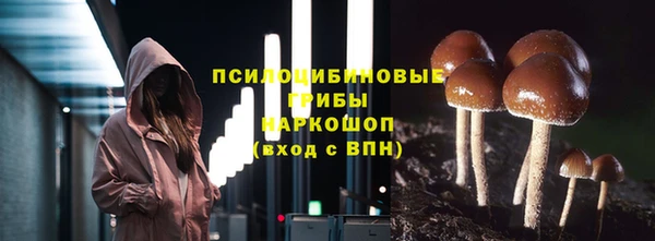 индика Богородск