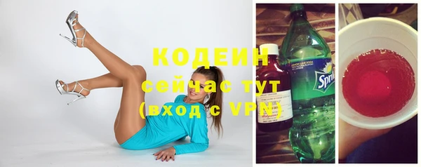 шишки Бронницы