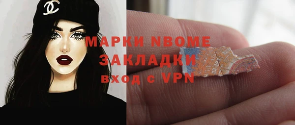 индика Богородск