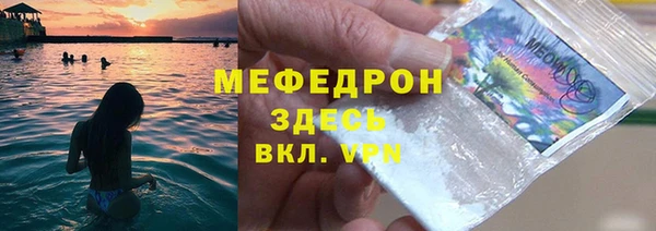 индика Богородск