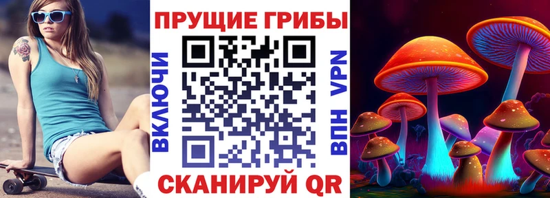 Псилоцибиновые грибы прущие грибы  kraken рабочий сайт  Октябрьский  купить закладку 